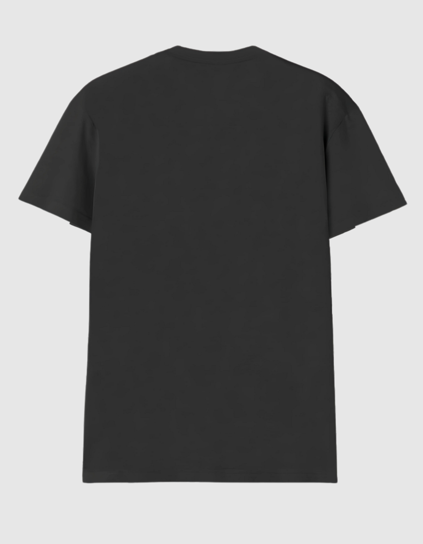 BLACK V NECK T-SHIRT