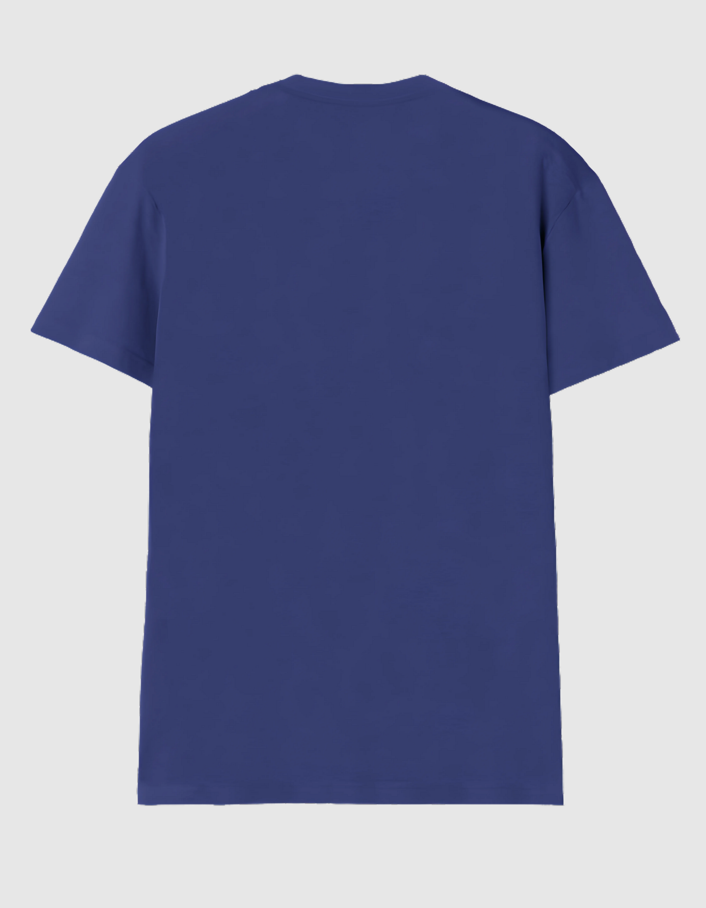 ROYAL BLUE V NECK T-SHIRT